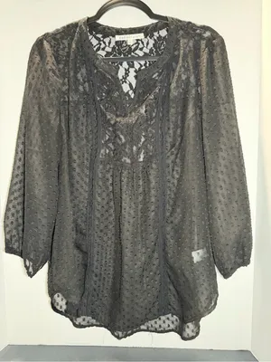 Daniel Rainn‎ Black Swiss Dot Lace Yoke Blouse thumbnail 1
