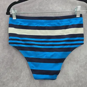 Aerie Blue Stripe Bikini Bottoms‎ Swimwear Medium thumbnail 2