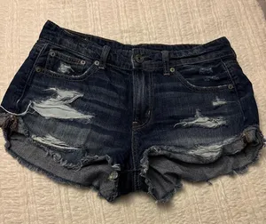 American Eagle Shorts thumbnail 1