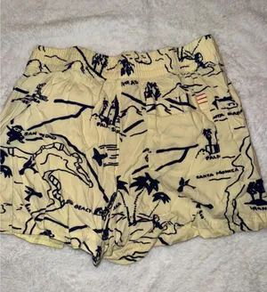 Urban Outfitters Lena souvenir shorts thumbnail 4
