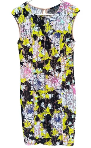EUC French Connection Botanical Trip Lace Dress Size 8 thumbnail 1