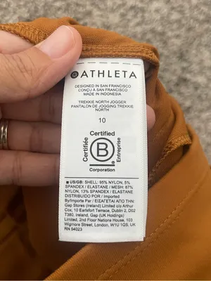 Women’s Athleta Trekkie North Jogger Pants Rust Orange Cattail Brown Size 10 thumbnail 9