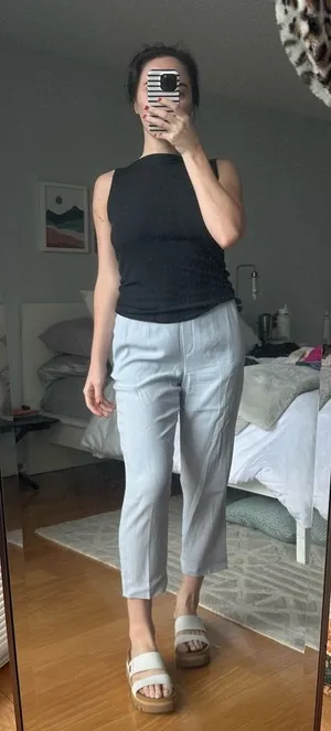 Aritzia Babaton Conan Cropped Pants thumbnail 1