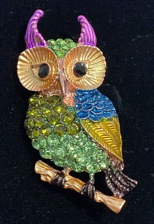 Multicolored Rhinestones Horned Owl Brooch thumbnail 1