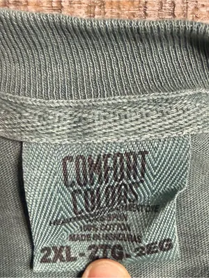 Comfort Colors Green Graphic Tee with I dilly I dally print thumbnail 2