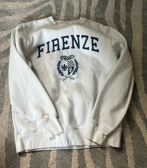 Brandy Melville Firenze oversized crewneck sweatshirt thumbnail 1