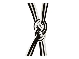 NWT Trina Turk Womens Triumph Micro Braided One-Piece Swimsuit Black / White 6 thumbnail 4