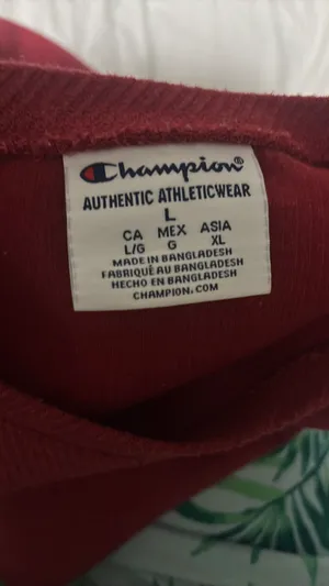 Alabama Pullover Champion thumbnail 2