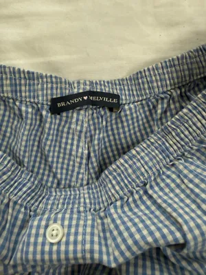 Brandy Melville blue and white gingham shorts thumbnail 2