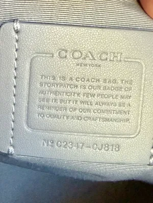 Coach Axel Crossbody Bag Leather Chalk White Gunmetal Graphic Stamp CJ818 thumbnail 13