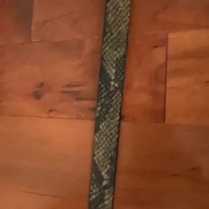 Express Belt size M thumbnail 4