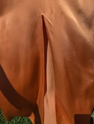 NEW ZARA Maxi Dress Satin Burnt Orange size S thumbnail 10