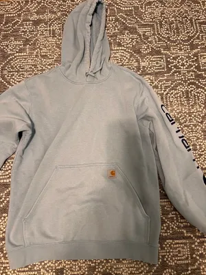 Carhartt Loose Fit Hoodie Long Sleeve thumbnail 1