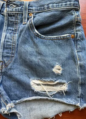 Levi’s 501 Shorts thumbnail 6