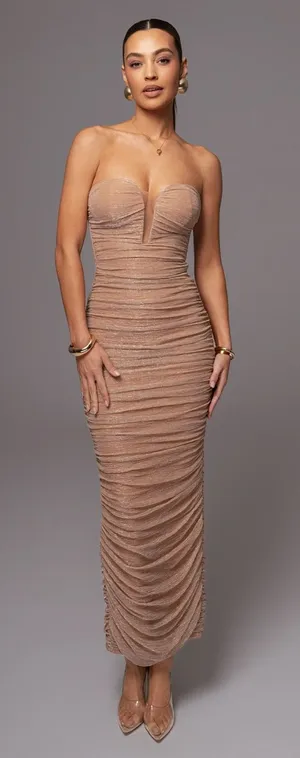 NWT Champagne Metallic Mesh Maxi Dress Tan thumbnail 1