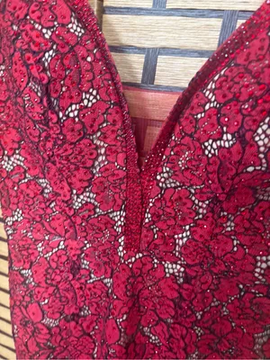 Ellie Wilde mon Cheri red and tan lace gown size 4 thumbnail 4