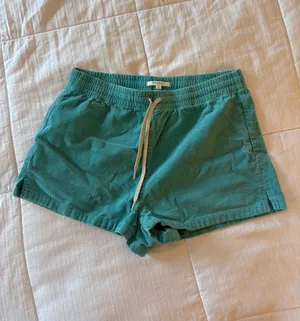 PacSun Shorts thumbnail 3