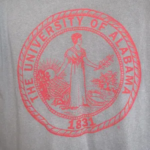 Comfort Colors large Alabama t-shirt thumbnail 2