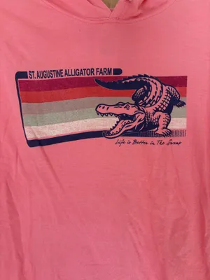 Life is Good NWT RetroVision Apparel Pink Lightweight Hoodie thumbnail 2