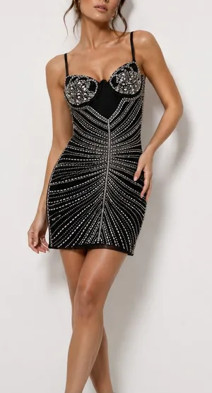 Windsor Rhinestone Bodycon Mini Dress NWT Black Glam Party Size S thumbnail 1