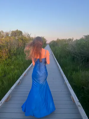 Dillards Prom Dress  thumbnail 3