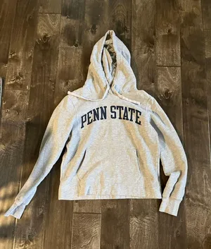 Penn State hoodie Gray thumbnail 1