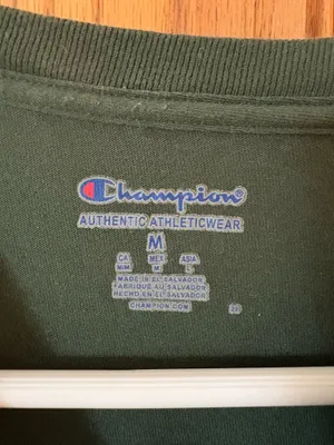 Champion Michigan State Dad T-shirt thumbnail 3