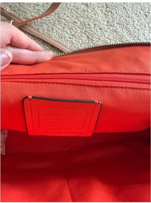 Coach Sierra Leather Domed Bag with Strap thumbnail 6