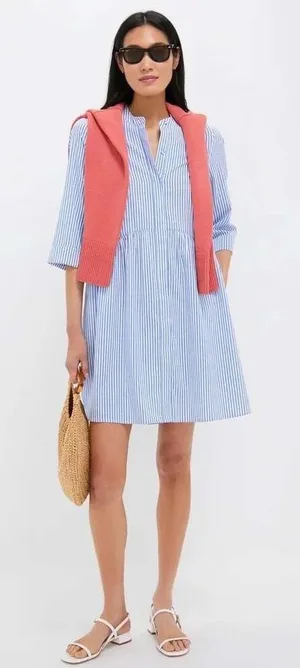 Tuckernuck Royal Shirt Dress Blue White Stripe Popover‎ Mini Size Large NWT thumbnail 1