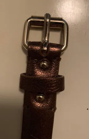 Ann Taylor XS Metallic Brown Genuine Leather Belt Silver Buckle thumbnail 4