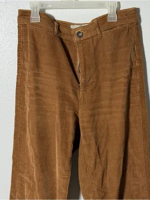 Everlane Women Brown Fall Corduroy Pants Classic Straight‎ Fit size 6 thumbnail 4