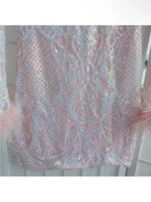 Blondie Nites Sequined Dress With Feathers thumbnail 3