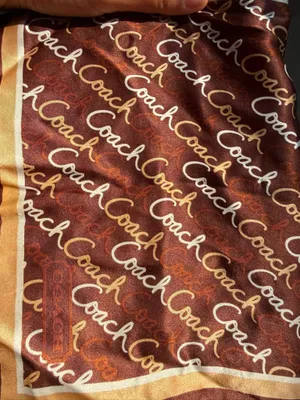 Rare vintage Coach silk scarf  thumbnail 3