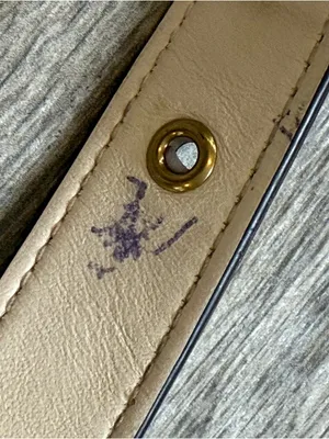 Coach Soft Pebbled Leather
Camera Bag CC386 Chalk Cream thumbnail 6