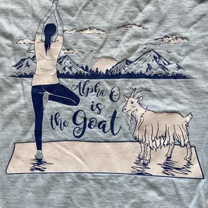 Comfort Colors Alpha Omicron Pi Alpha O is the Goat Yoga T-Shirt Unisex XL EUC thumbnail 2