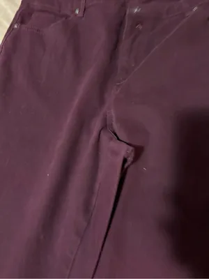 Gloria Vanderbilt Plum Straight-Leg Corduroy Pants thumbnail 3
