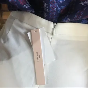 Aqua White Ruffle Accent High Waist Shorts Nwt (M) thumbnail 9
