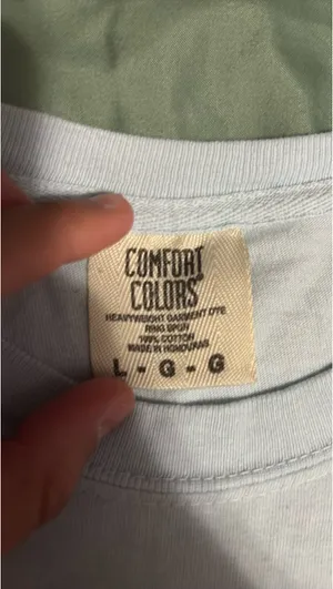 Comfort Colors T-Shirt thumbnail 2