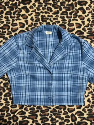 2000s vintage style brandy melville blue vivian plaid cropped button up thumbnail 2