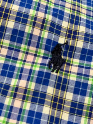 Ralph Lauren Button Down thumbnail 2