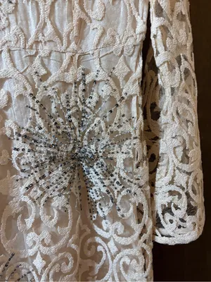Free People North Star Sequin Lace Mini Dress in Ivory thumbnail 6