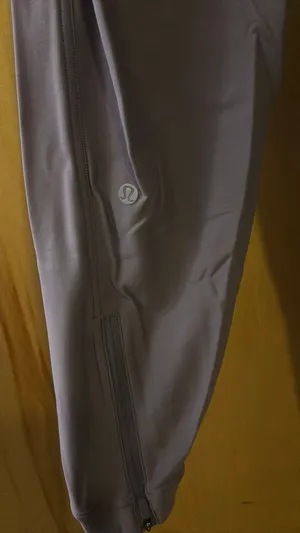 Adapted State Lululemon Joggers thumbnail 4