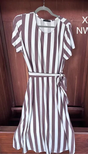Striped Short-Sleeve A-Line Dress in Brown and White thumbnail 1