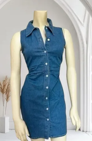 ✨Zara Denim Button Down Smocked Sz Large Dress✨ thumbnail 1