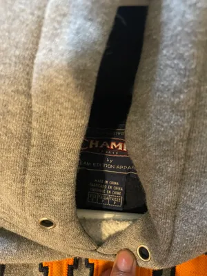 Illinois state hoodie Gray thumbnail 2