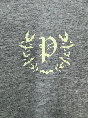 PINK Victoria’s Secret Grey Halloween Campus Long Sleeve Shirt Size X-Large thumbnail 2