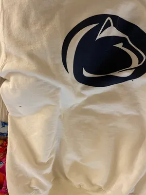 Penn State University Hoodie thumbnail 3