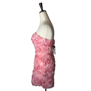 Angel Biba Blanca Mini Dress Women XS Pink NWT 3D Floral Sweetheart Bodycon thumbnail 6