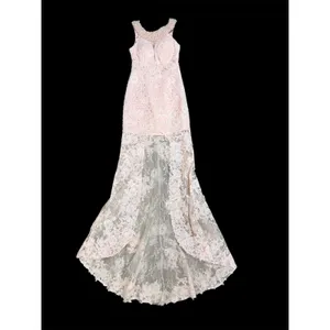NWT Sherri‎ Hill 51057 Blush Lace High Low Dress Open Back Pearl Neckline Size 2 thumbnail 4
