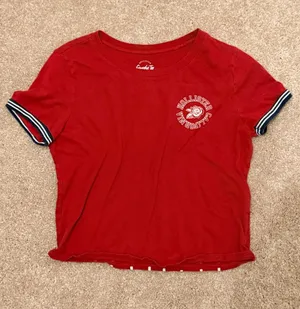 Hollister Graphic Tee Red Crop Top thumbnail 1